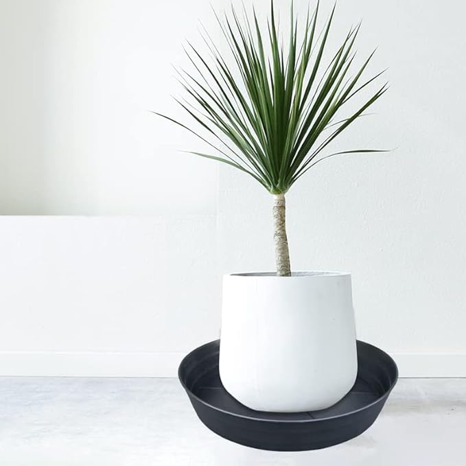 25 Inch Extra Large Plant Saucers, Extra-Deep 4.25 in Black Drip Trays for Flower Pot, Heavy Duty Drainage Tray Indoors No Holes, 2 Pack Plastic Planter Plate Water Catcher for Pots Base 20 21 22 in