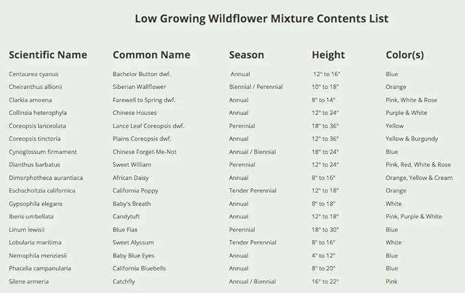 Seed Needs Low Growing Wildflower Flower Seeds for Planting | 5 Packs (1 Ounce Each) Mixture/Blend 17 Varieties | Resealable Package Multicolored Blooms Open Pollinated Mixed Species | Bulk