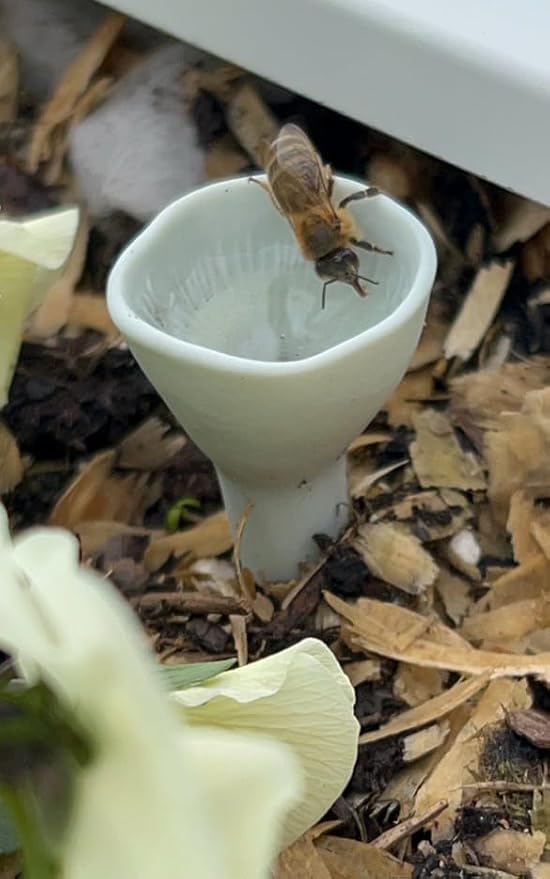 5 Pack, Bee Watering Station, 100% Handmade from Porcelain, Bee and Butterfly Feeder for Garden, Outdoor Feeder for Thirsty Pollinators, Plastic Free, Pollinator Attracting Glaze (5, Agave)