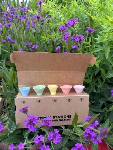 5 Pack, Bee Watering Station, 100% Handmade from Porcelain, Bee and Butterfly Feeder for Garden, Outdoor Feeder For Thirsty Pollinators, Plastic Free, Bee Attracting Glaze (5, Pastel Variety)