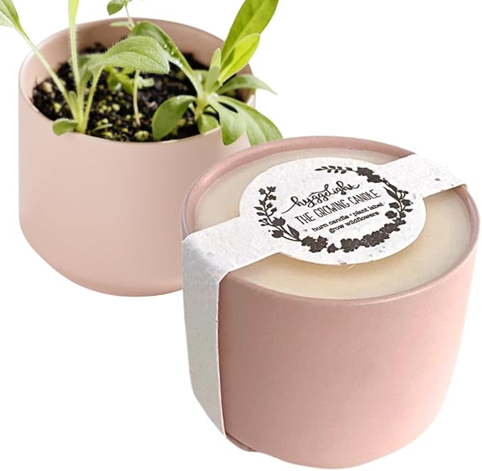 The Growing Candle, Mint & Eucalyptus Scented, 8oz Ceramic Pot, Aromatherapy Candles, 100% Soy, Adelyn