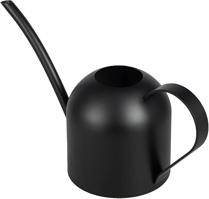 IMEEA Small Watering Can for Indoor Plants Stainless Steel Watering Can with Long Spout 15oz/450ml, (Black)