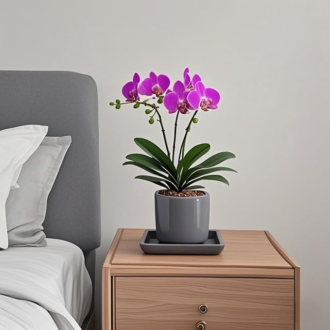 Square Plant Saucer 6 Inch 2 Pack,Plant Trays for Pots, Gray Ceramic Plant Saucers for Indoors Outdoors, Plant Drip Tray 4 6 8 10 12 14 Inch