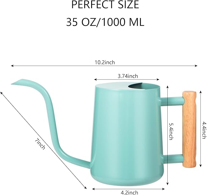 Watering Can Indoor Plants, 35oz Small Watering Can Indoor Stainless Steel Metal Watering Can Modern Decorative Watering Pot with Long Spout for Indoor House Plant Bonsai Outdoor Garden Flowers -Green