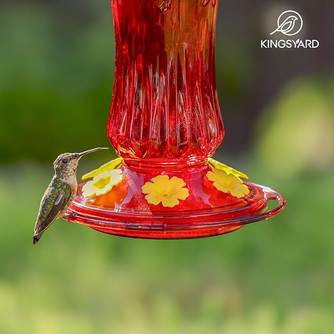 Kingsyard Glass Hummingbird Feeders for Outdoors Hanging, Hummingbird Nectar Feeder with Ant Moat & 6 Bee Guard Feeding Ports, 25 Ounces Leak Proof (Red)
