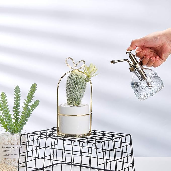 Glass Plant Mister Spray Bottle, 6.5" Tall Vintage Plant Spritzer Watering Can, Succulent Watering Bottle with Top Pump, Small Plant Sprayer Mister for Indoor Outdoor Houseplant - Clear