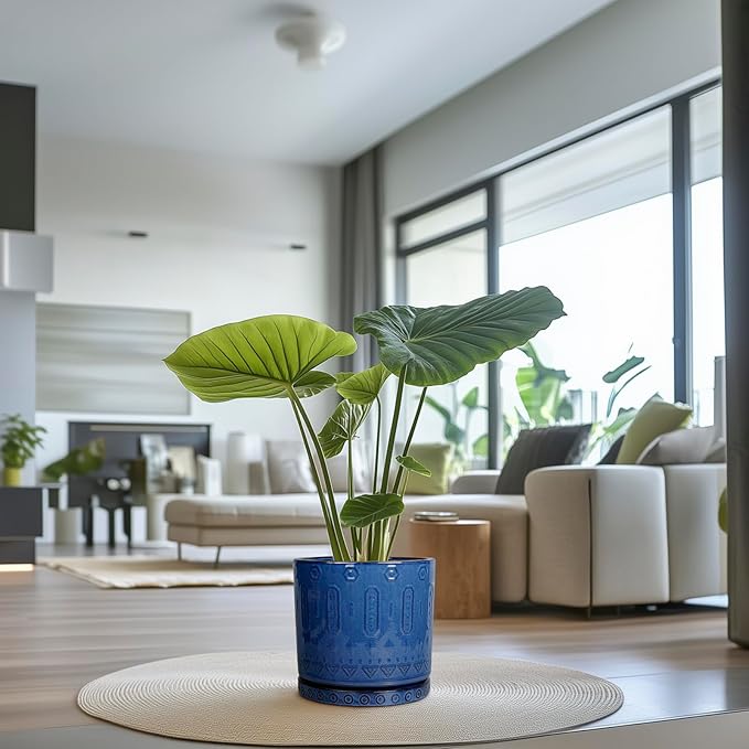 12 Inch Pot for Plants - Ceramic Planter for Indoor Plants Large Plant Pot with Drainage Holes and Saucer Outdoor Flower Pot Decorative Round Planter for Porch Office Decor Blue