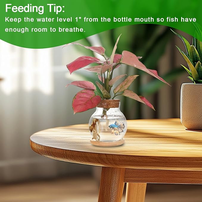 Plant Propagation Station,Hydroponic Glass Container Vase Jars, with Wooden Saucer for Desks, Houses, Garden Decorations, Home Kitchen Decorations and Gifts for Plant Lovers (9)