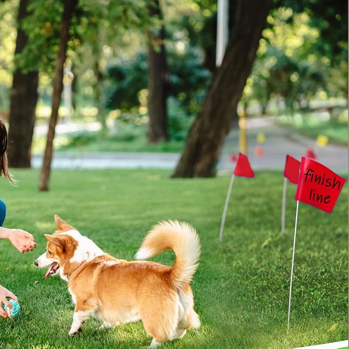 Zozen 100Pack Red Marking Flags, Writable/15x4x5 Inch, Yard Flags for Lawn & Irrigation & Landscape & Sprinkler & Survey & Dog Training.