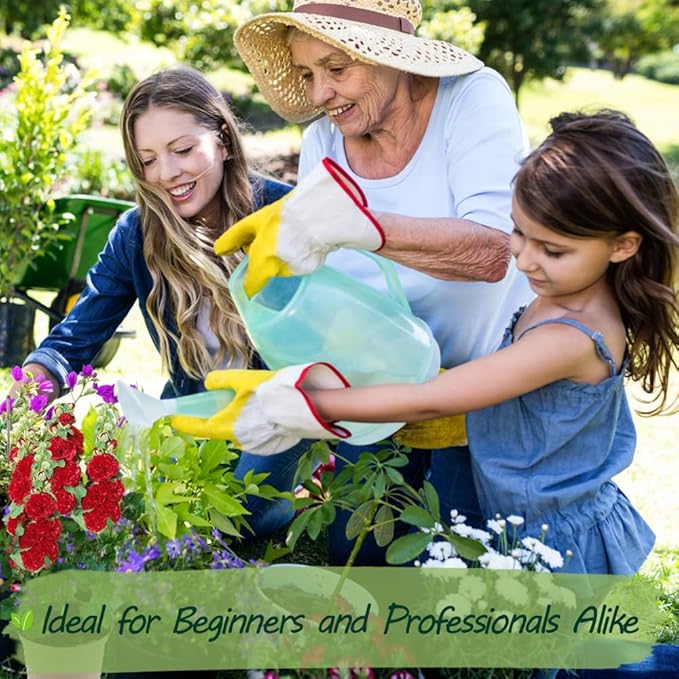 Premium Rare Hollyhock Seeds โ 400+ Queeny Dwarf Hollyhock Flower Seeds โ Non-GMO, Heirloom Perennial โ Showy Blooms for Outdoor Planting (Queeny Hollyhock)