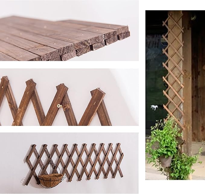 Wooden Lattice Wall 2Pack-Expandable Plant Garden Trellis for Climbing Plants Outdoor Air Plant Vertical Rack Wall Decor for Room Patio