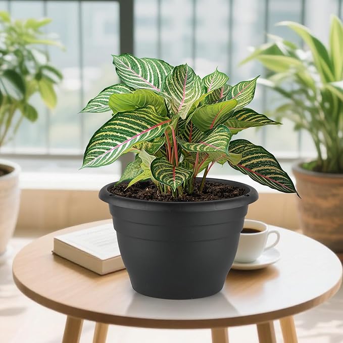 Plant Pots Indoor with Drainage, 3 Pack 11 Inch Plastic Pots for Plants(10 inch Inner Diameter), Durable Plastic Flower Pots, Planters for Indoor Ourdoor Plants, Black