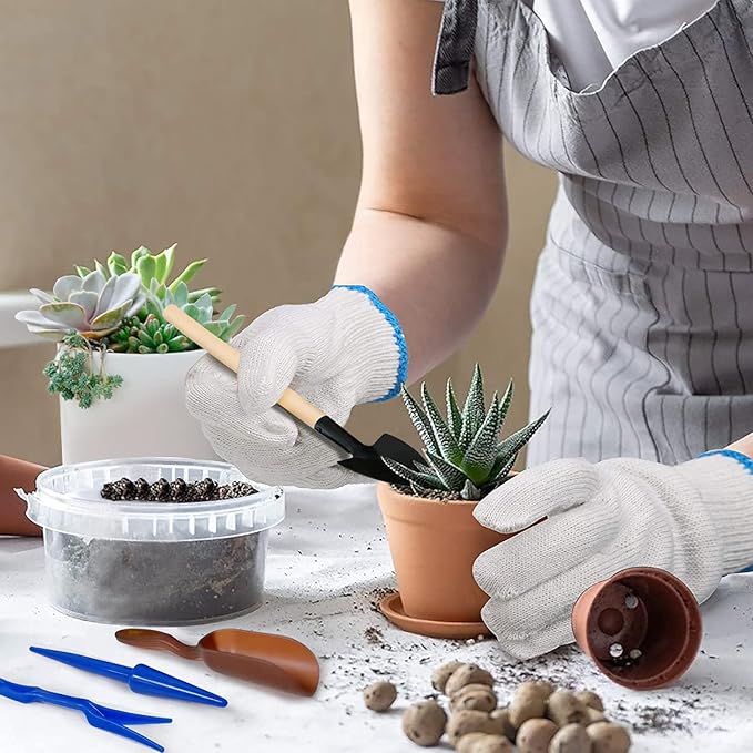 Succulent Tools, Mini Garden Tool Set, Transplanting Tools Set, Succulent Care kit for Succulent Miniature Gardening Plant, Multi, 13 Pcs