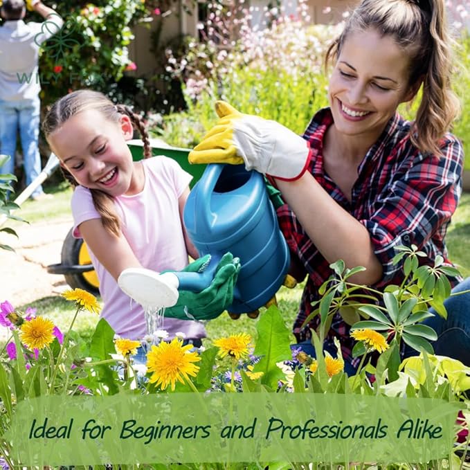 Premium Taraxacum Dandelion Seeds - 5000 Non-GMO Heirloom Purple-Stem Dandelion Seeds for Planting, Herbal Tea & Pollinators –Most Medicinal Variety (Taraxacum)