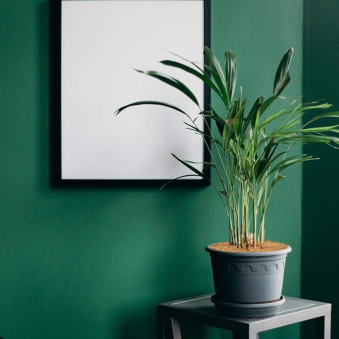 ZeeDix 3 Pack 24 Inch Coconut Fiber Tree Mulch Ring, 100% Natural Coco Coir Tree Ring Mulch Mat, Coconut Coir Discs Plant Cover Tree Protectors Mats Mulch Rings for Landscaping Trees Outdoor Plants