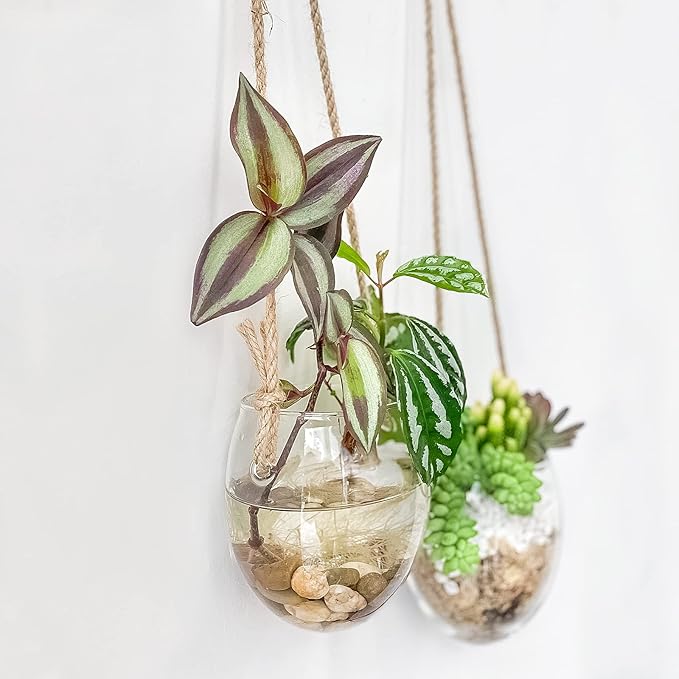 Wall Hanging Glass Planter Air Planter Terrarium Vase Propagation Stations for Hydroponic Plants, Succulent Moss Tillandsias Air Plants Globe,Home Office Garden Decor, Set of 2
