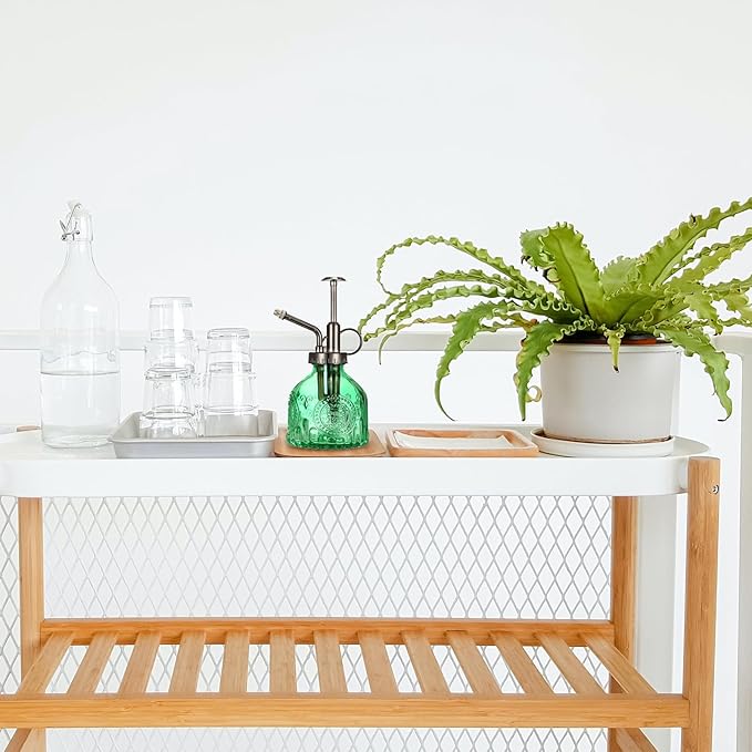 Glass Plant Mister Spray Bottle, Vintage Plant Spritzer Watering Can, Succulent Watering Bottle with Top Pump, Small Plant Sprayer Mister for Indoor Outdoor Houseplant - Green