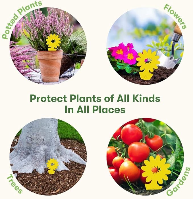 BugMD Sticky Bug Traps (12 Pack) - Indoor Fruit Fly Killer, Fungus Gnat Killer, Plant sticky traps for Bugs, Yellow Sticky Fly Traps for Plants, Gnat for Plants, Odorless