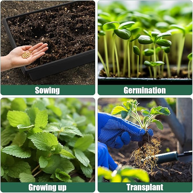 Seed Starter Kit - 10 Pack 1020 Seed Trays with 2 Seedling Heat Mats for Plants (10"x20.5"), Complete Seed Germination Kit for Indoor Gardening, Greenhouse Accessories Gardening Gifts