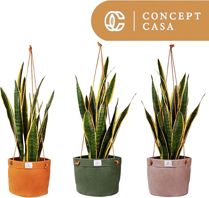 Waxed Canvas Handmade Hanging Planter for Indoor/Outdoor Plants, Hanging Basket Plant Holder Forest Green