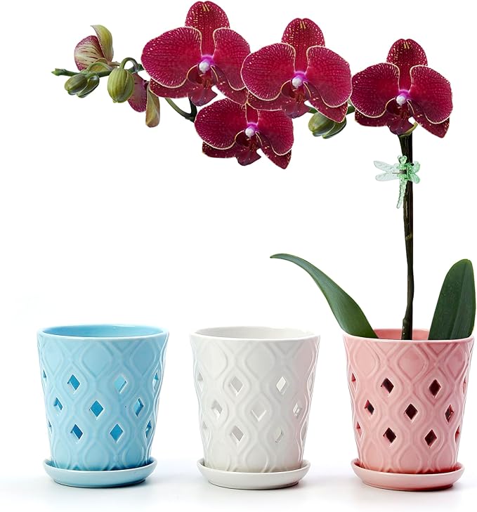 Whispering Winds Ceramic 5 x 6 Inch Orchid Pot with Holes & Saucer for Aeration and Drainage - Decorative Orchid Pots for Repotting, Prevent Over Watering & Root Rot (Cavern Pink)