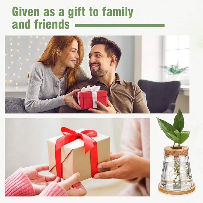 Baderke 12 Packs Plastic Desktop Vase with Hole Lid and Bamboo Stand Plant Propagation Stations Plant Growing in Water Hydroponic Home Office Table Decoration (Fresh Style)