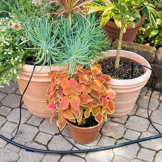 Spring Hill Nurseries - The Dripster! Irrigation Kit - Remove The Worry of Getting The Right Amount of Water to Your Plants!