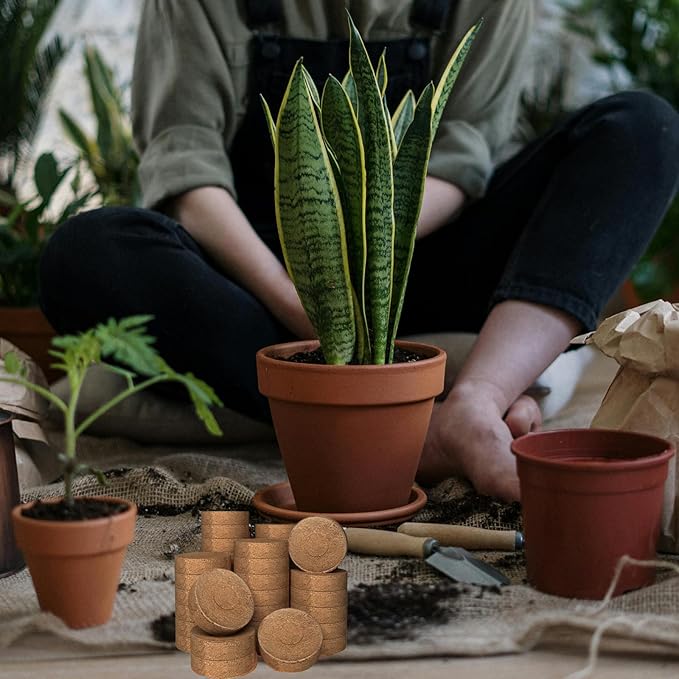 105 Pcs 30mm Compressed Coconut Coir Potting Soil,Coco Coir Pellets for Plants,Coco Fiber Pellets for Planting, Garden, Bonsai, Vegetables & Flower