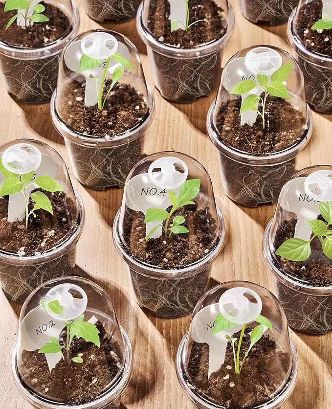 homenote Clear Nursery Pots for Plants,3/4/5 Inch Plant Pot for Planting with Humidity Domes Plastic Seedling with Drainage Holes Seed Starter Flower High Transparency (15 Pack)