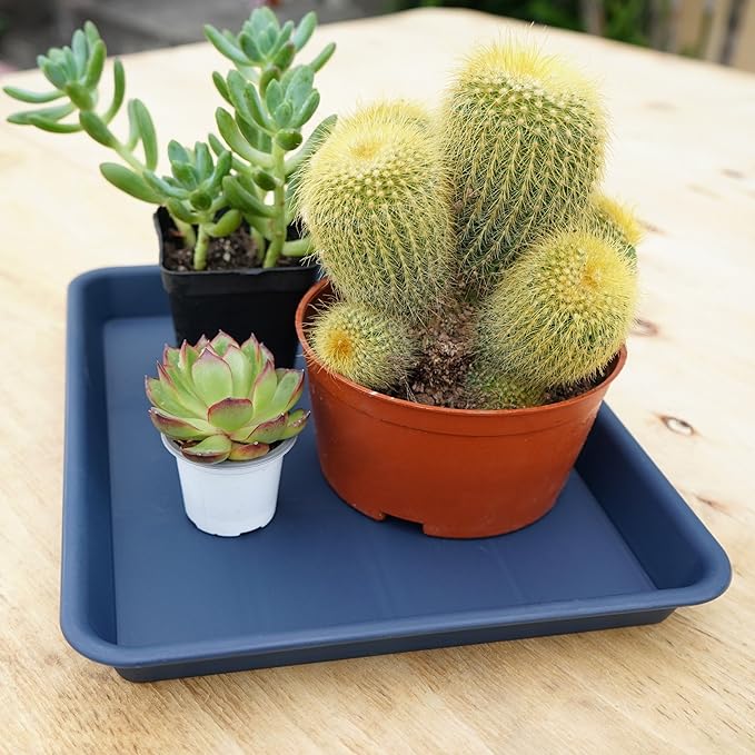 Rectangle Plant Tray, Plant Drip Tray, Plant Pot Saucers, Plant Germination Trays, Plant Saucers, 17.5'' x 10.6'' x 1.5'' (2 pack), Blue
