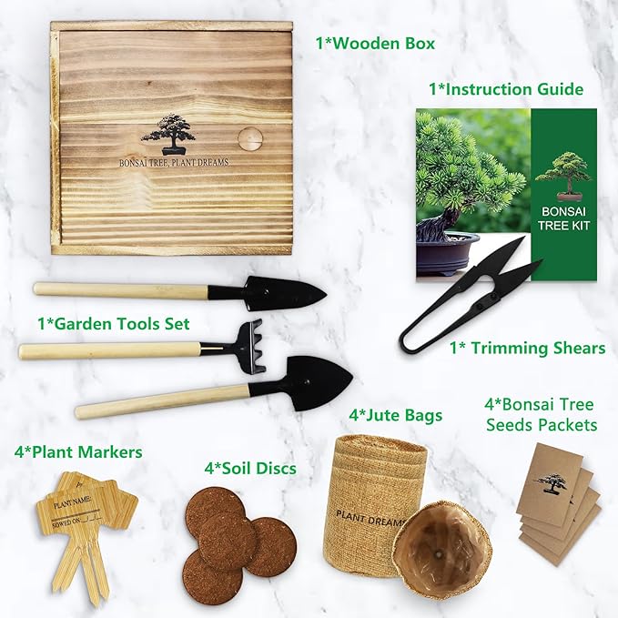 Bonsai Tree Kit, Wooden Gift Box Indoor Bonsai Tree Starter Kit with Tools & Japanese Plants Seeds, Growing DIY Gardening for Plant Lovers (Plant Lover Gift)