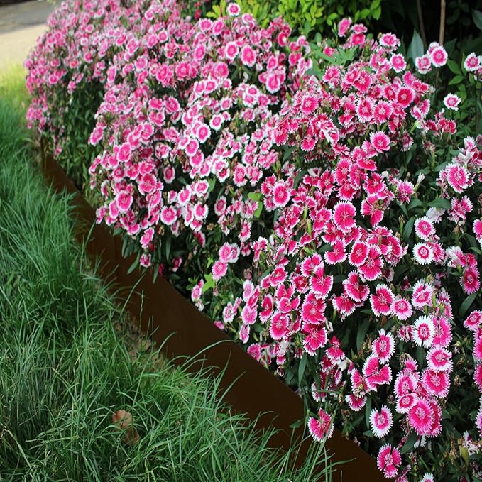 40" L x 8" H Metal Landscape Edging, Heavy Duty Galvanized Steel Garden Edging,6 Pack Steel Landscape Edging with Clips for Lawn, Flower Bed, Yard (Brown)