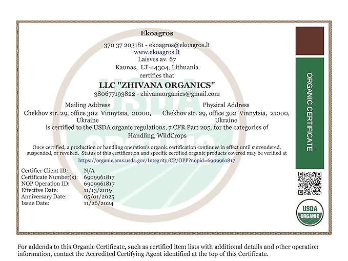 Super Value Pack 5 LB - Organic Elderflower Tea - Respiratory Health Tea, Immune Support - Allergy Relief