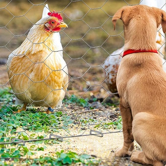 Landscape Staples 4 Inch 100pcs 11 Gauge Garden Stakes, Heavy Duty Galvanized Garden Staple for Fences, Lawns, Weed Barriers, and Landscape Fabrics, Netting, Irrigation Hose, Floor Mats