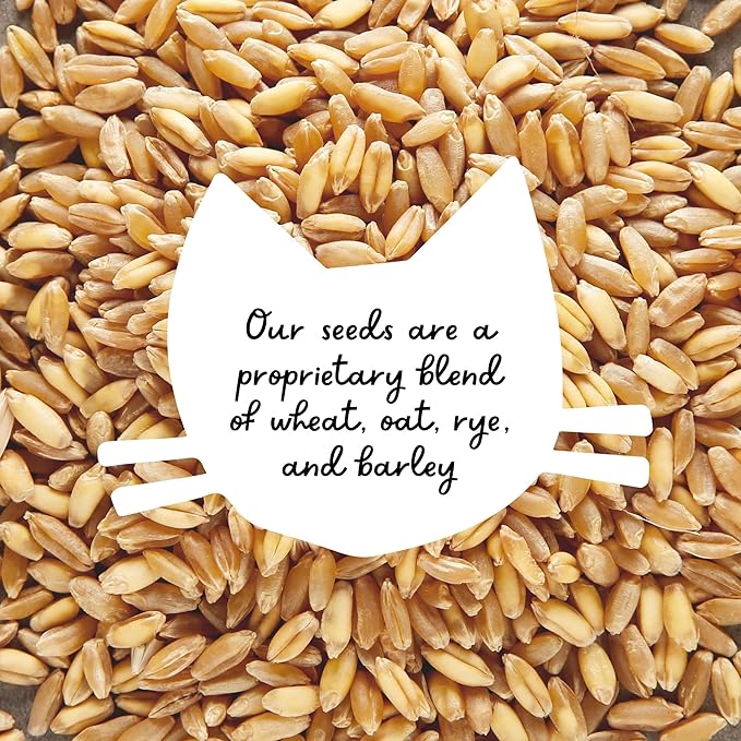 The Cat Ladies Cat Grass Growing kit with Organic Cat Grass Seed, Soil and Two Ceramic Planters with Bamboo Trays Natural Hairball Remedy