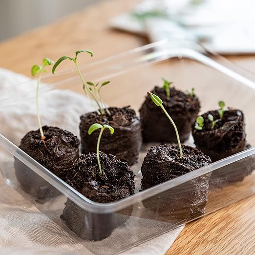 Coco Coir Seed Starter Pellets: 125 Coconut Coir Plugs for Growing Plants - Peat Free Seedling Soil - Seed Starter Kit with Potting Soil Pellets - Gardening Supplies from OwnGrown