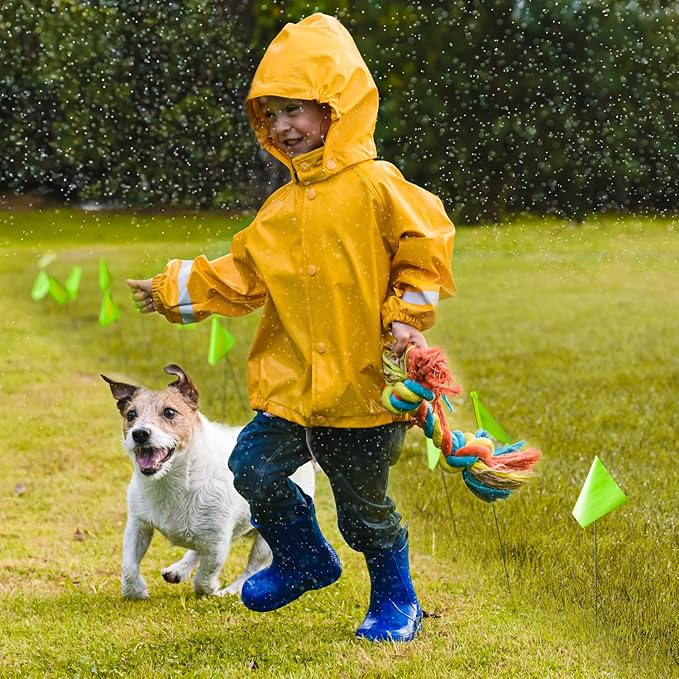 Zozen 100Pack Green Marking Flags, Writable/15x4x5 Inch, Yard Flags for Lawn & Irrigation & Landscape & Sprinkler & Survey & Dog Training.