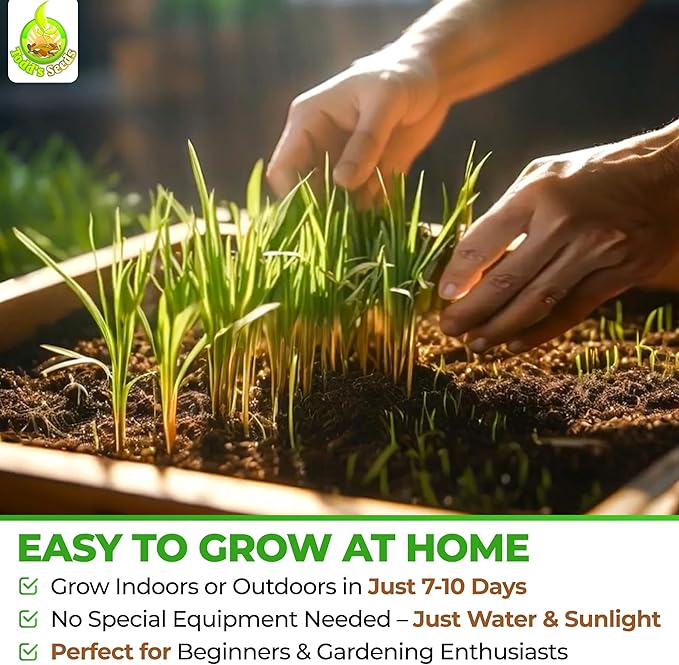 Todd’s Seeds – Cat Grass for Indoor Cats, 1lb Wheatgrass – Premium, Non-GMO, Pet-Safe & Easy to Grow – No Fillers, 100% Chemical-Free