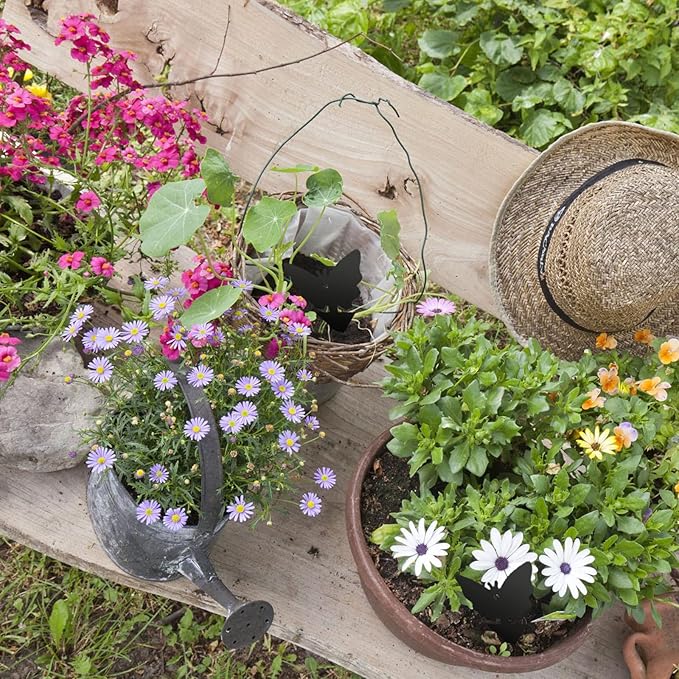 USKICH Sticky Trap Fruit Fly and Gnat Trap Sticky Bug Traps Fungus Traps for Indoor/Outdoor ,Insect Catcher for White Flies,Mosquitoes,Fungus Gnats,Lying Insects (36 Pcs Black)