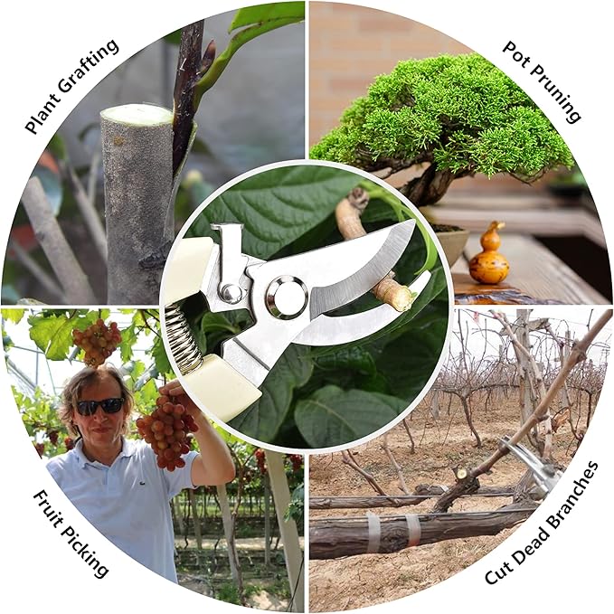 Garden Scissors for Plant, Tip Pruning Shears for Cutting Flowers, Trimming Plants, Bonsai and Fruits Picking (Bypass Blade Pruner)