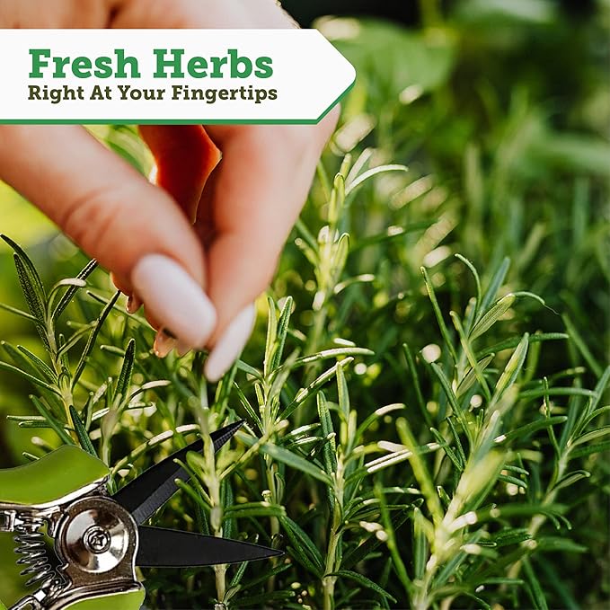 VegTrug 8 Pocket Garden, Wooden Planter with Herb Snips, Natural