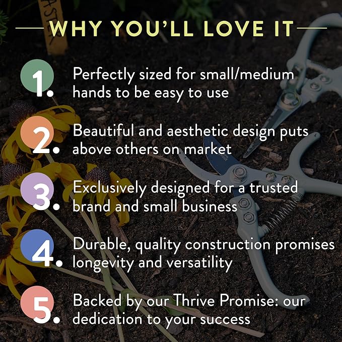 Modern Sprout Hand Pruners - Lightweight Pruning Shears W/Easy Lock- Gardening Scissors - Bypass Sharp Carbon Steel Blade - Rust Resistant - Garden Tools - Reusable Holster - Ocean