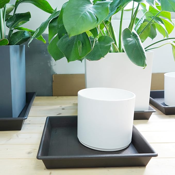 Square Plant Saucer 16 Inch 5 Pack, Plant Stand Plant Trays for Pots Heavy Duty Plastic Plant Saucers for Indoors Outdoors, No Holes Plant Drip Trays Plant Lover Gardening Gifts