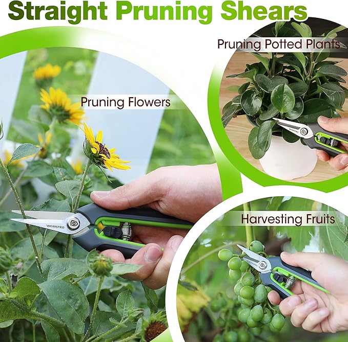WORKPRO Garden Pruning Shears 2 Pack, 8" Bypass Pruning Shears and 6.25" Straight Garden Scissors, Premium Plant Shears, Garden Clippers Hand Tools for Cutting Flowers, Trimming Plants, Picking Fruits