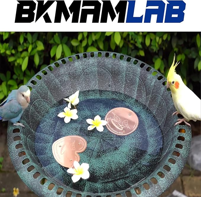 2-Pack 99.99% Pure Copper Bird Bath Purification Disk,Copper Disc with Stable Triple-Point Support,Fits All Outdoor Bird Baths(Heart-Shaped&Round)
