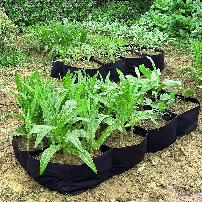 2 Pack 6x3x1ft Fabric Raised Garden Beds,128 Gallon 8 Grids Rectangle Plant Grow Bags,Durable Outdoor Gardening Planting Container Planter Pot for Growing Herbs Flowers Vegetables Potatoes Chillies