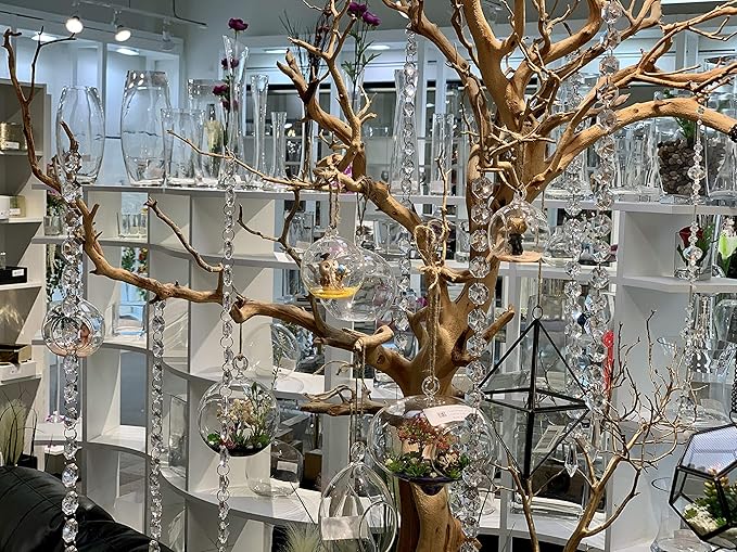 WGV Hanging Terrarium Globe, Width 3", Height 4", DIY Air Succulent Planter, Clear Glass Vase Orb with Flat Bottom, Candle Holder for Windowsill Outdoor Garden Decor, 6 Pieces Bulk