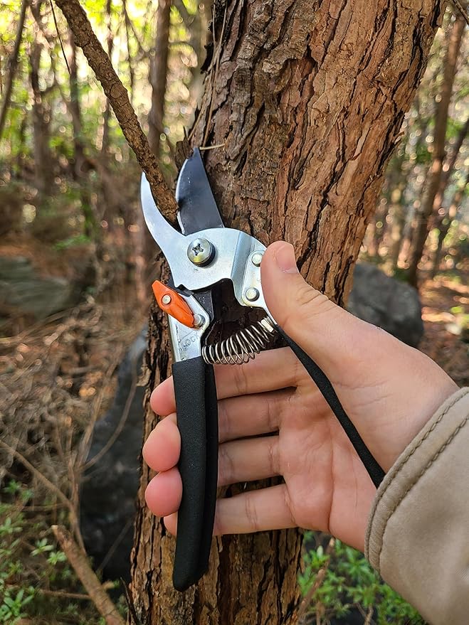 Saboten Japan 7.9" Japanese Pruning Shears - Premium Steel Blades, Rust-Resistant Fluorine Coating, Ergonomic Grip, Duracon Safety Lock - forest Originals, Made in Japan, Gardening & Farming Scissors