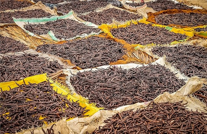 1 LB Organic Madagascar Vanilla Beans - Whole Extract Grade B Pods for Baking, Homemade Extract, Brewing, Coffee, Cooking - 16 Ounces