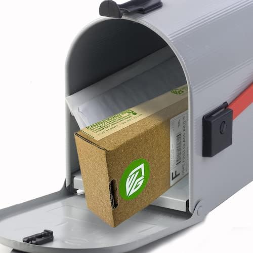 2 Vincent Female Kiwis & 1 Tomuri Male Kiwi (Actinidia chinensis) Bundle by Wellspring Gardens - Thriving Kiwi Plant Pairing - Perfect for Southern Gardens, Pollination Duo